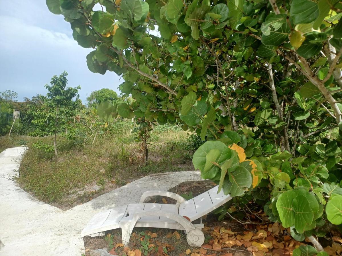 "Le Champs" Des Oiseaux Villa Anse-Bertrand Bagian luar foto