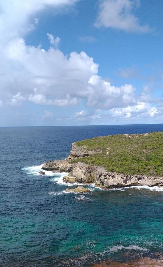 "Le Champs" Des Oiseaux Villa Anse-Bertrand Bagian luar foto